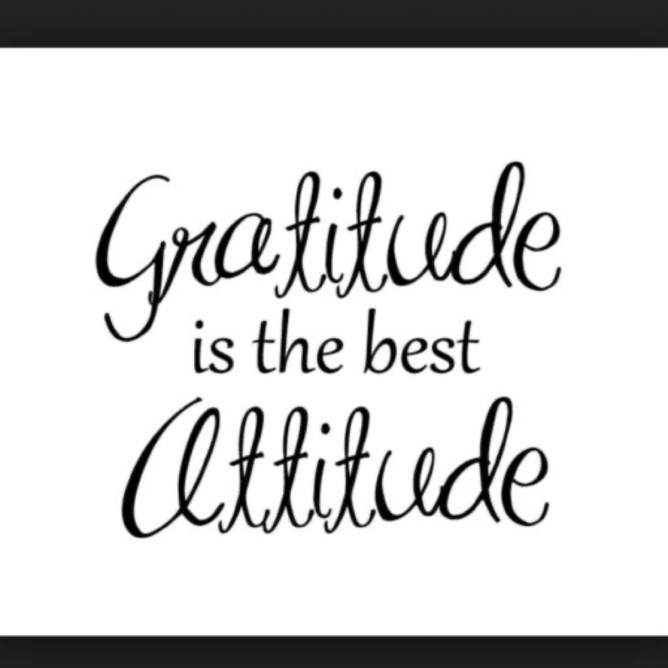 Attitude of Gratitude Tips | Brownlee Global – A Wealth Building, Healthy Living, and Emotional Well-Being with Purpose Avatar